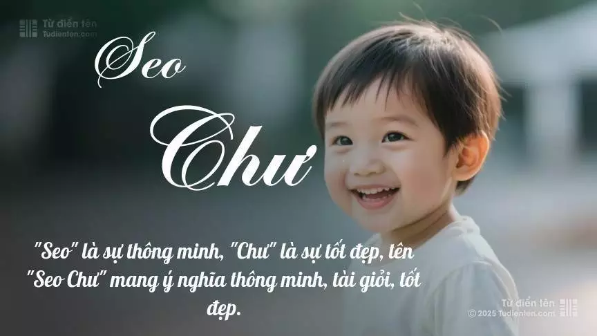Tên Seo Chư mang đậm sắc thái nam tính, hầu như chỉ xuất hiện trong tên của bé trai.