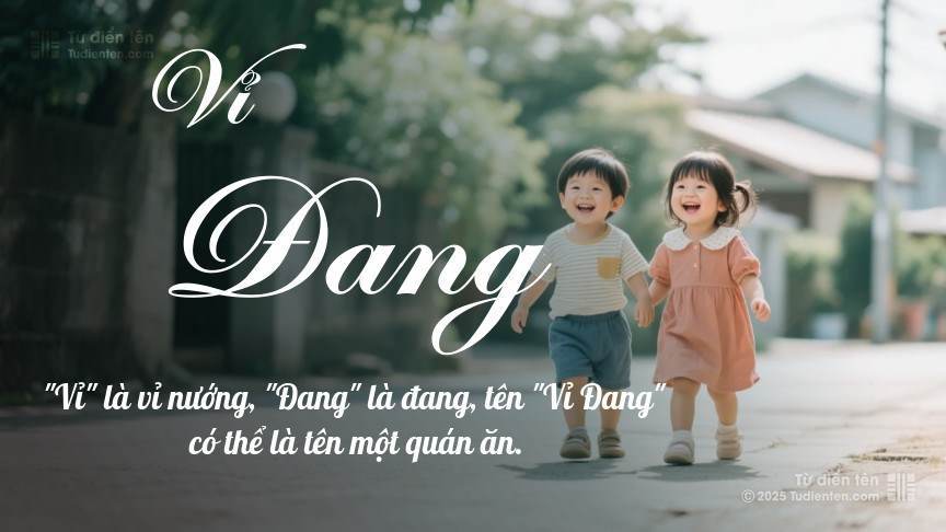 Ý nghĩa ngắn gọn của tên Vỉ Đang