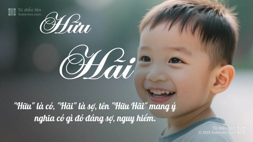 Ý nghĩa ngắn gọn của tên Hữu Hãi
