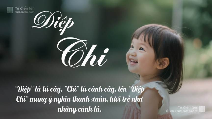Tên Diệp Chi: Ý nghĩa, giới tính, Phong thủy và Thần số học