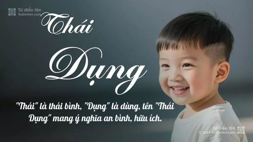 Tên Thái Dụng mang đậm sắc thái nam tính, hầu như chỉ xuất hiện trong tên của bé trai.