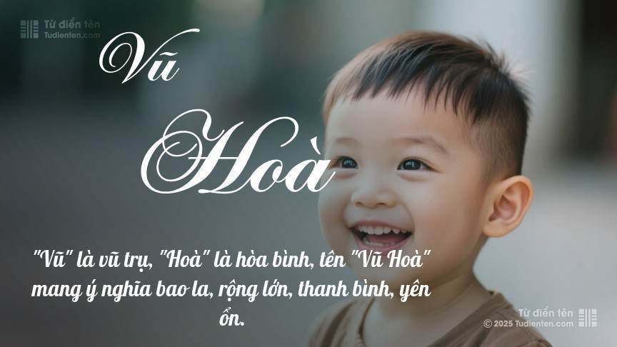 Ý nghĩa ngắn gọn của tên Vũ Hoà