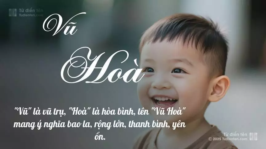 Tên Vũ Hoà mang đậm sắc thái nam tính, hầu như chỉ xuất hiện trong tên của bé trai.
