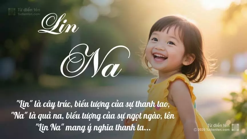 Tên Lin Na mang đậm sắc thái nữ tính, hầu như chỉ xuất hiện trong tên của bé gái.