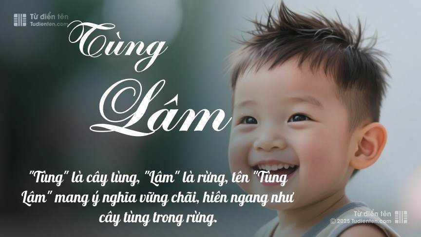 Tên Tùng Lâm: Ý nghĩa, giới tính, Phong thủy và Thần số học