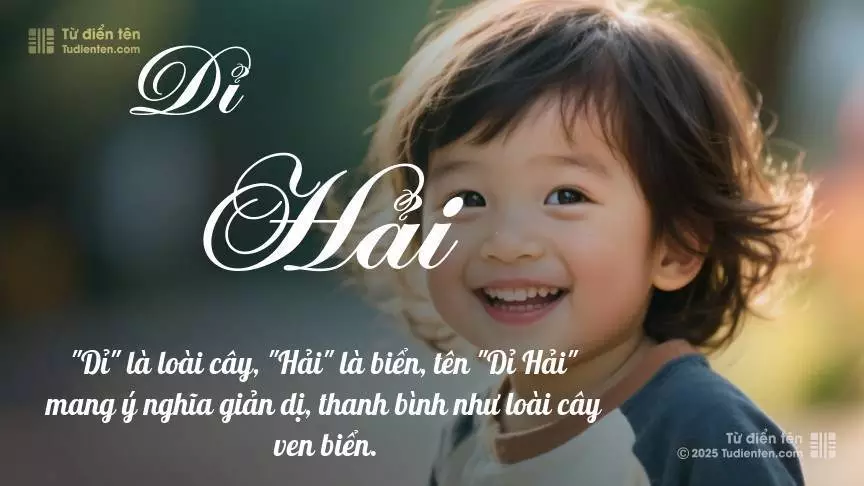 Tên Dỉ Hải mang đậm sắc thái nam tính, hầu như chỉ xuất hiện trong tên của bé trai.