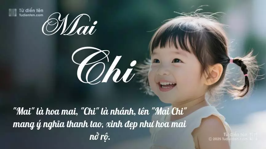 Tên Mai Chi rất nữ tính, gần như luôn được đặt cho bé gái.