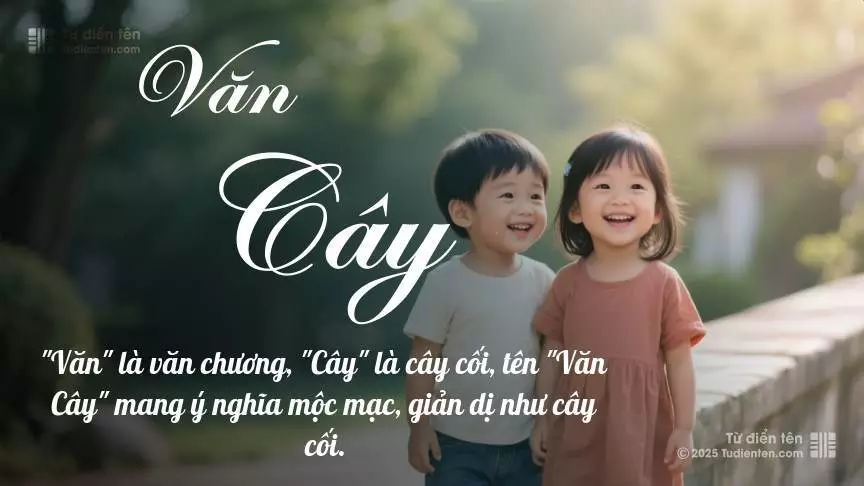 Tên Văn Cây rất hiếm khi gặp, mang lại cảm giác độc biệt, mới lạ và cá tính.