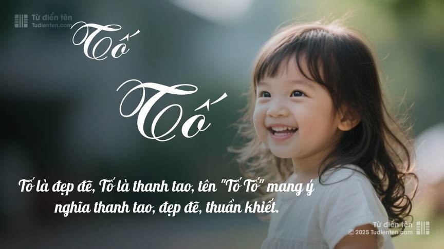 Ý nghĩa ngắn gọn của tên Tố Tố