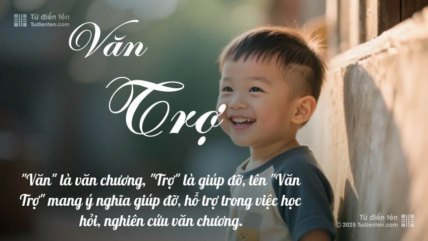 Ý nghĩa ngắn gọn của tên Văn Trợ