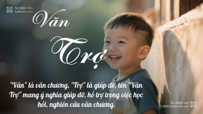 Tên Văn Trợ mang đậm sắc thái nam tính, hầu như chỉ xuất hiện trong tên của bé trai.