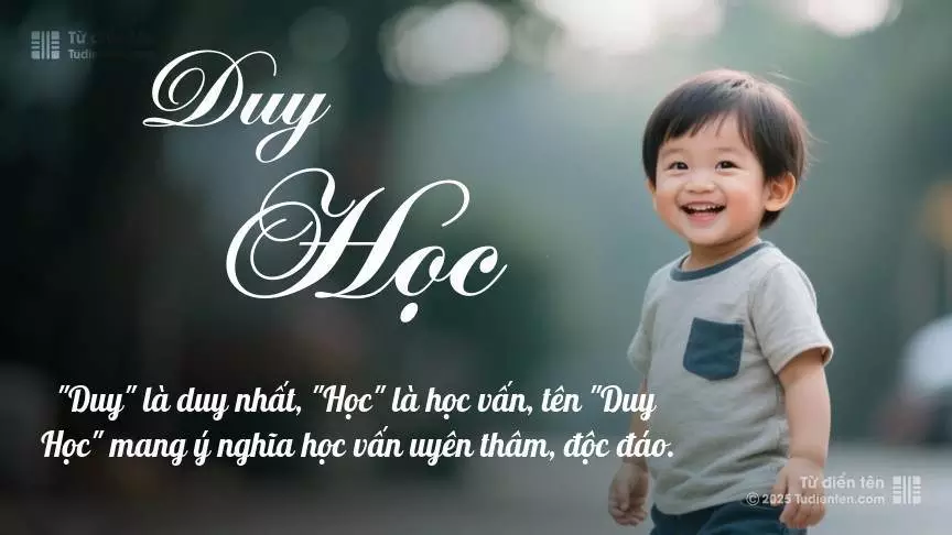 Tên Duy Học mang đậm sắc thái nam tính, hầu như chỉ xuất hiện trong tên của bé trai.