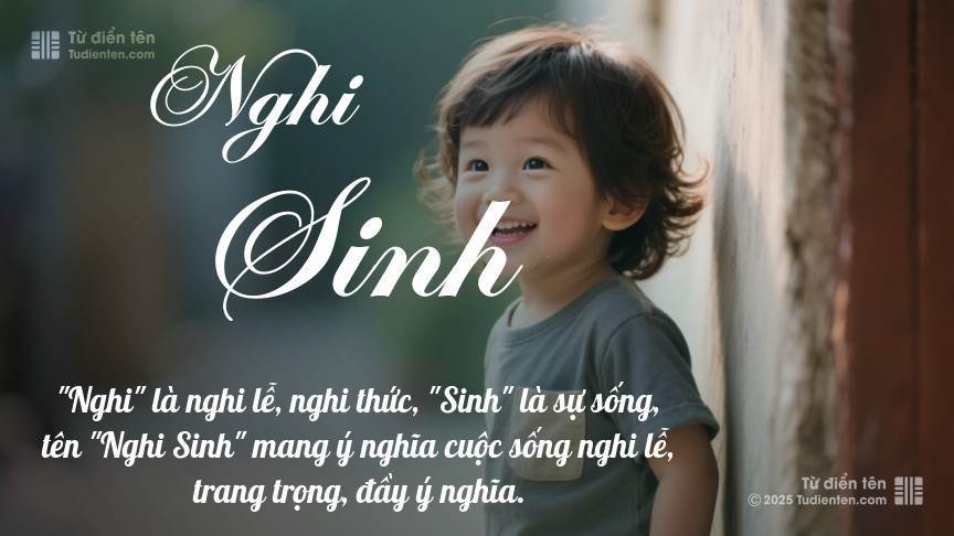 Ý nghĩa ngắn gọn của tên Nghi Sinh