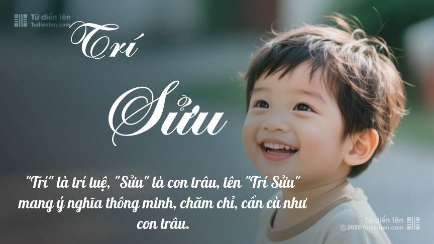 Ý nghĩa ngắn gọn của tên Trí Sửu