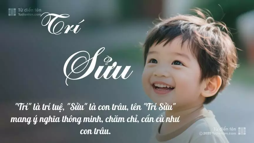 Tên Trí Sửu mang đậm sắc thái nam tính, hầu như chỉ xuất hiện trong tên của bé trai.