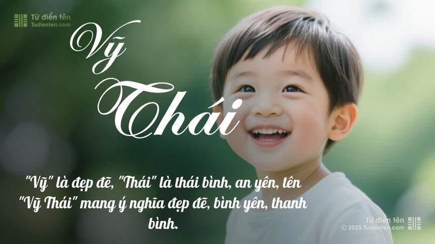 Ý nghĩa ngắn gọn của tên Vỹ Thái