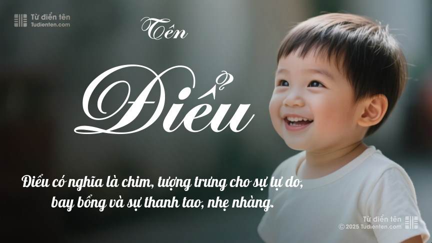 Ý nghĩa ngắn gọn của tên Điểu
