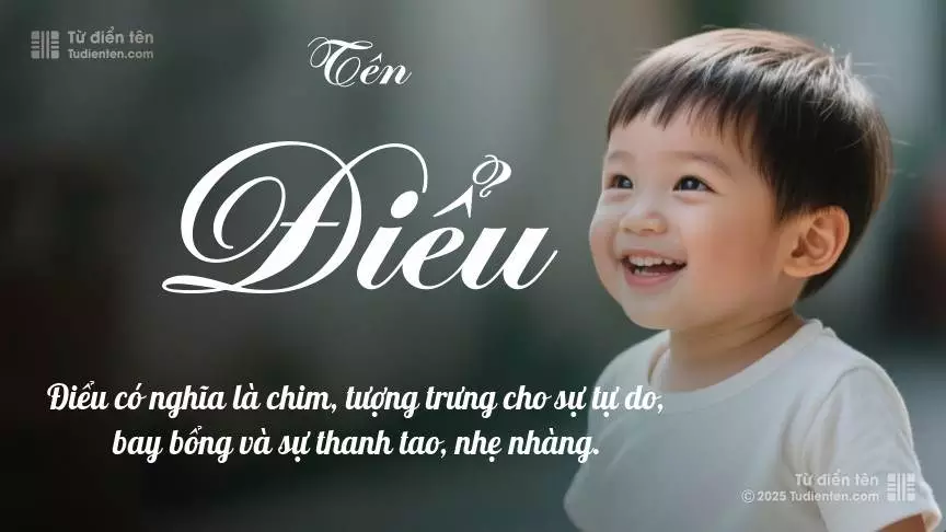 Tên Điểu chủ yếu dành cho bé trai, thể hiện vẻ mạnh mẽ và nam tính.