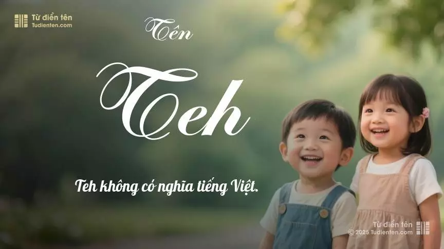 Tên Teh hơi nghiêng về nam giới, nhưng vẫn có thể dùng cho cả bé trai và bé gái.